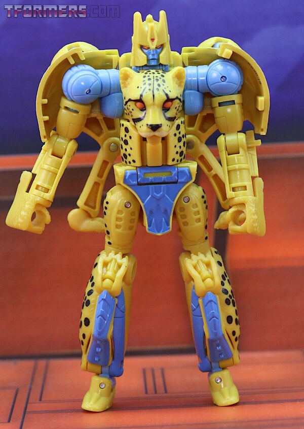 Transformers Kingdom Cheetor Wave 1 Deluxe Class  (2 of 34)